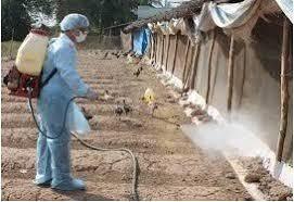 Chi cục Chăn nuôi và Thú y: Tổng vệ sinh, khử trùng môi trường phòng chống dịch bệnh sau Tết Nguyên đán Quý Mão năm 2023.